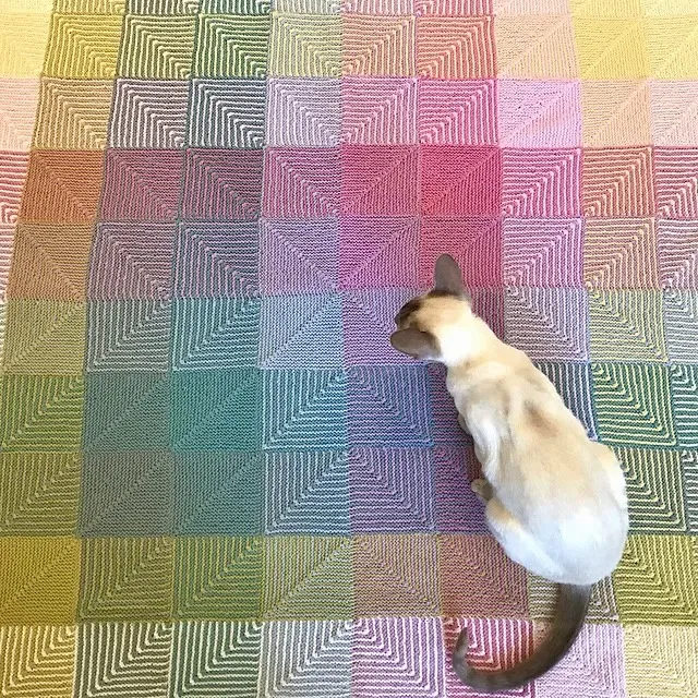Nightshade approving my Hue Shift afgan. Nightshade sitting on a colourful knit blanket, as seen from above.
