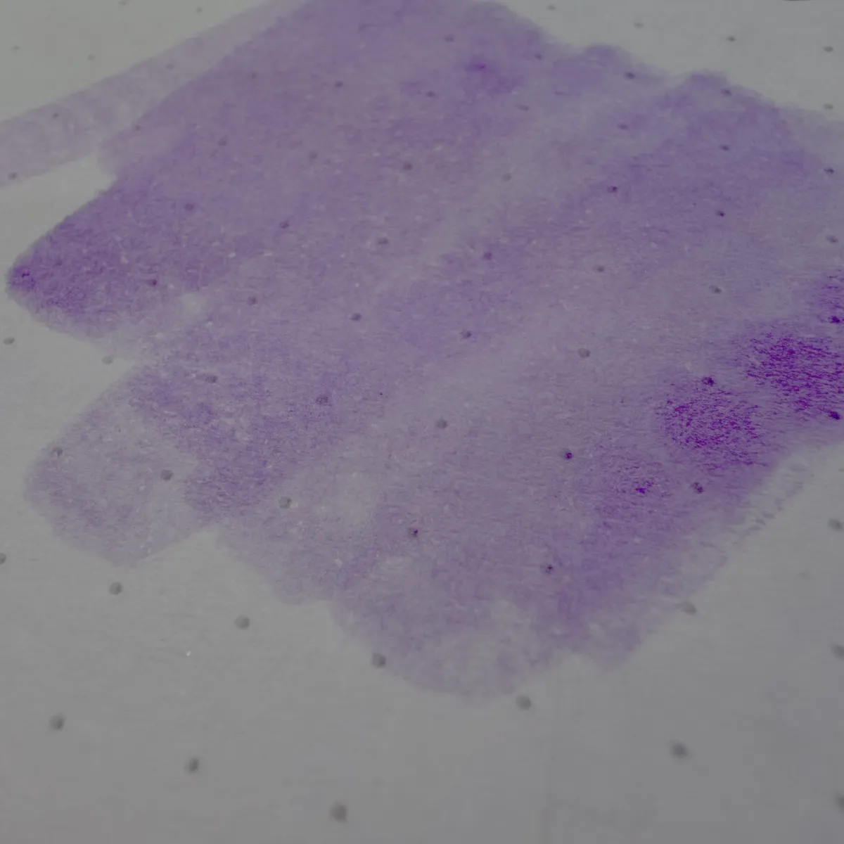 A close-up view of a swatch of purple ink. The ink is spread in broad strokes across dotted Rhodia notepad paper.