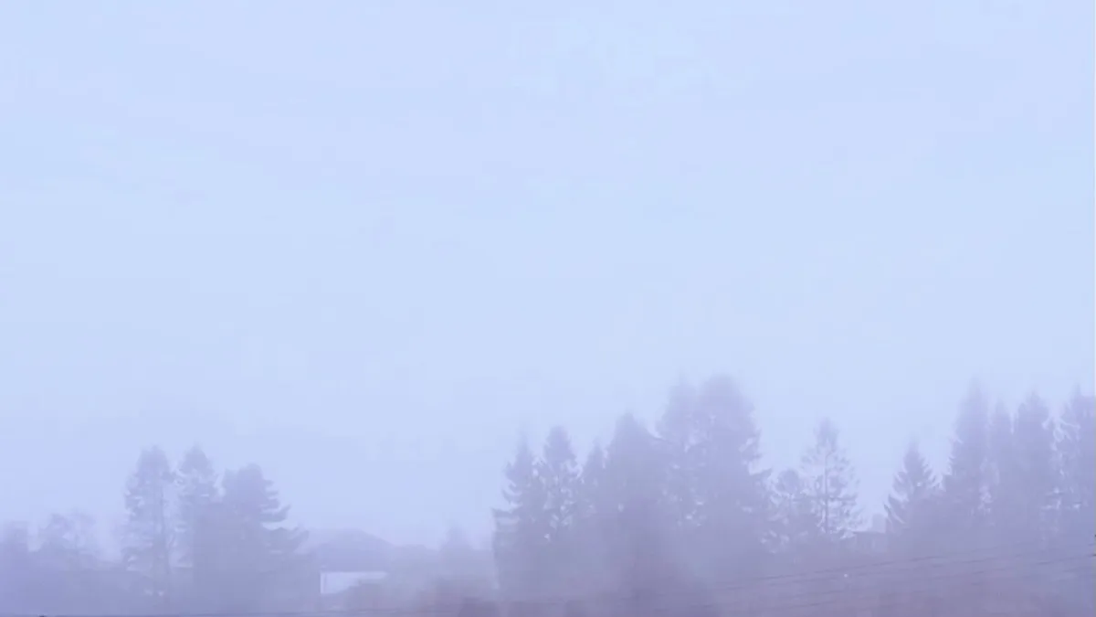 A foggy outdoor landscape with a pale blue-gray sky above a hazy tree line. The lower part of the image shows silhouettes of tall trees, including several pine or fir trees, softened by dense mist. Near the bottom left, a faint outline of a low building is visible through the fog. Across the lower right area, a few thin dark power lines run horizontally.