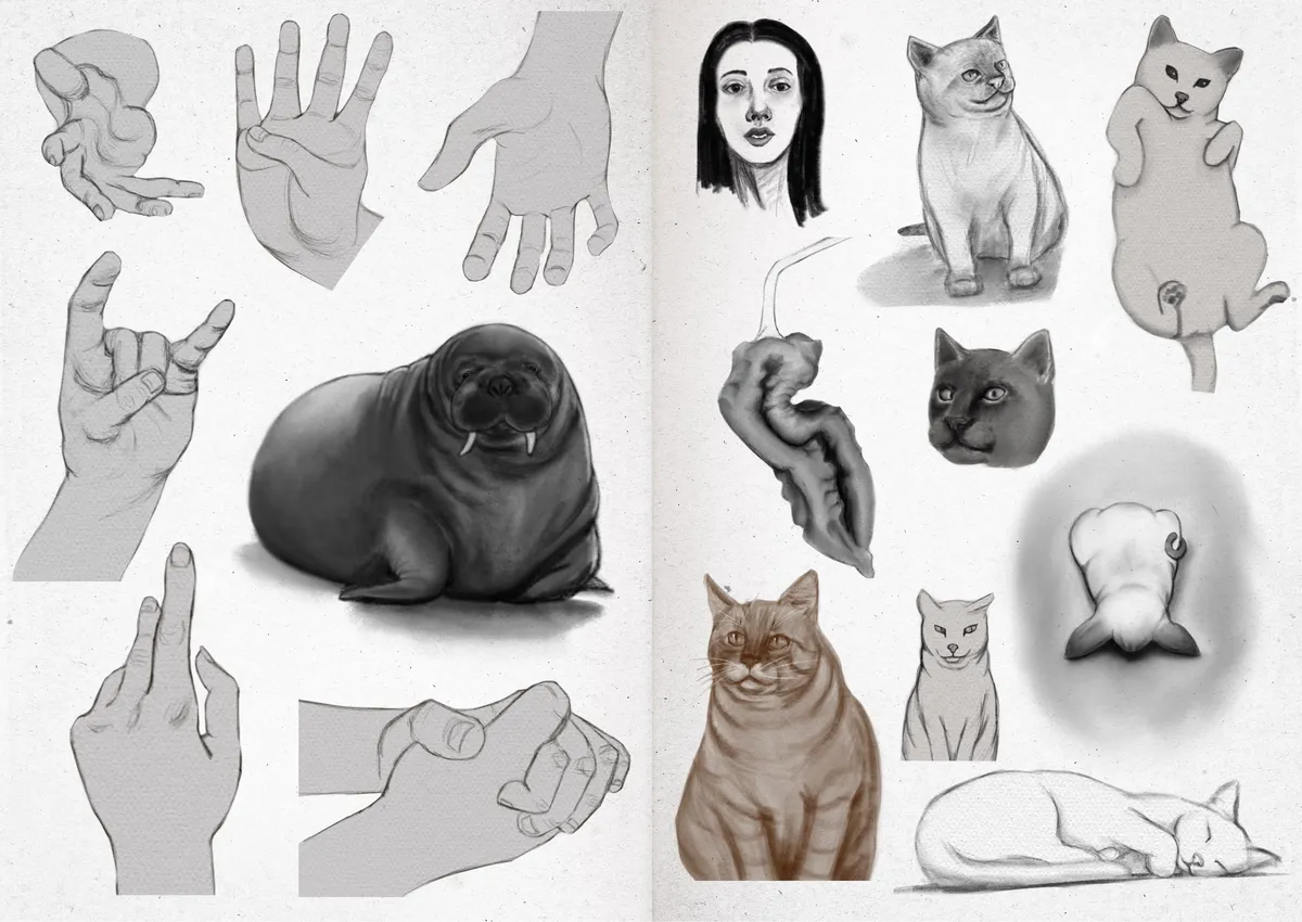 Sketchbook 24-18