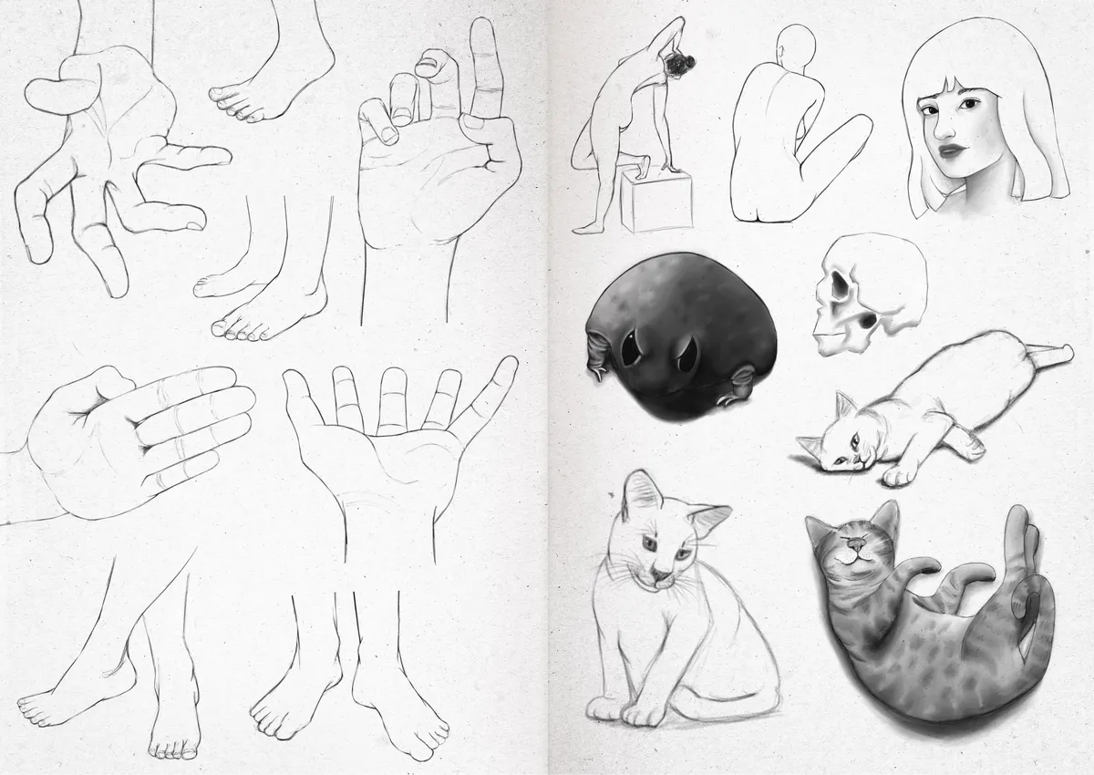 Sketchbook 24-22