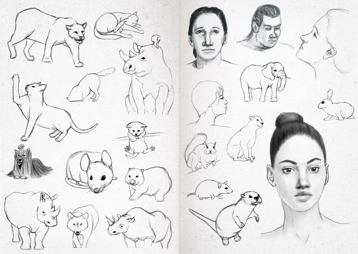 Sketchbook 24-29