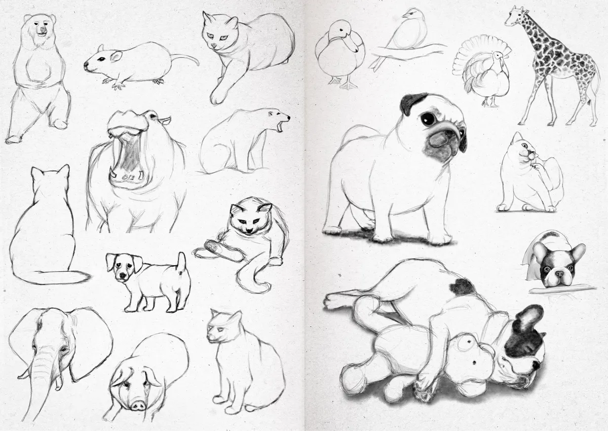 Sketchbook 24-30
