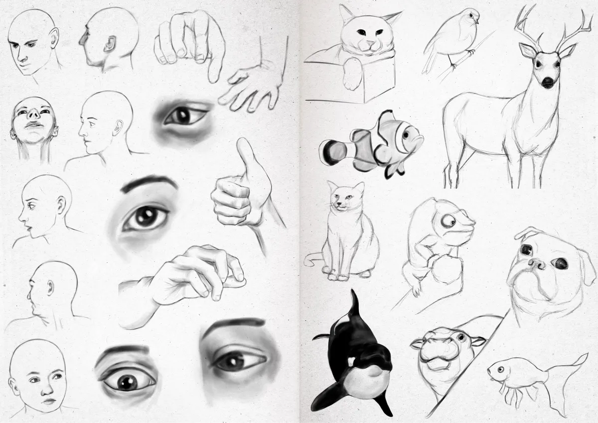 Sketchbook 24-33