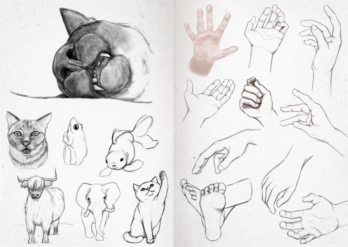 Sketchbook 24-34
