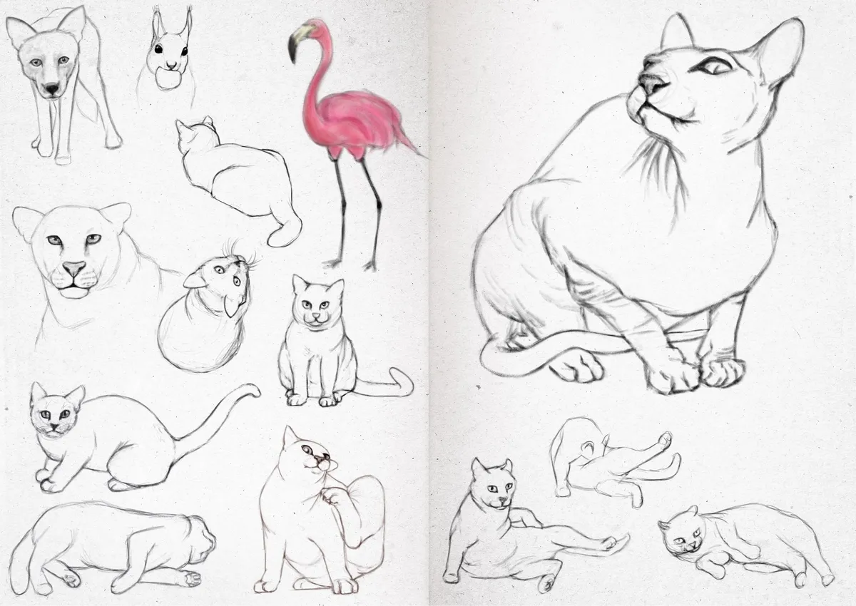 Sketchbook 24-35