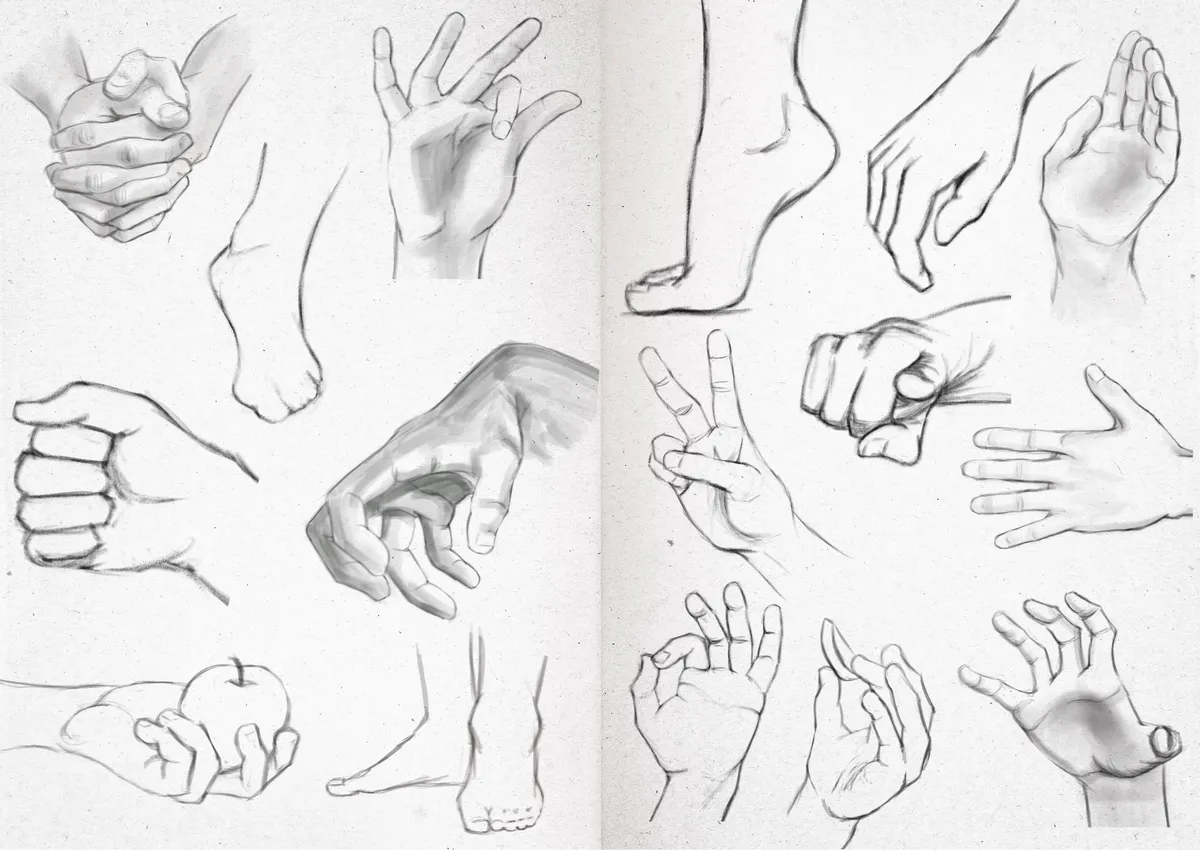Sketchbook 24-36