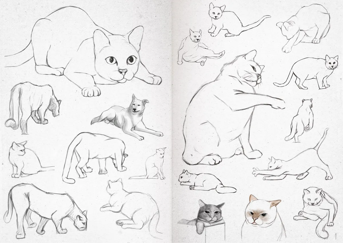 Sketchbook 24-38