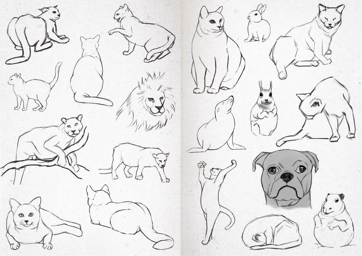 Sketchbook 24-39