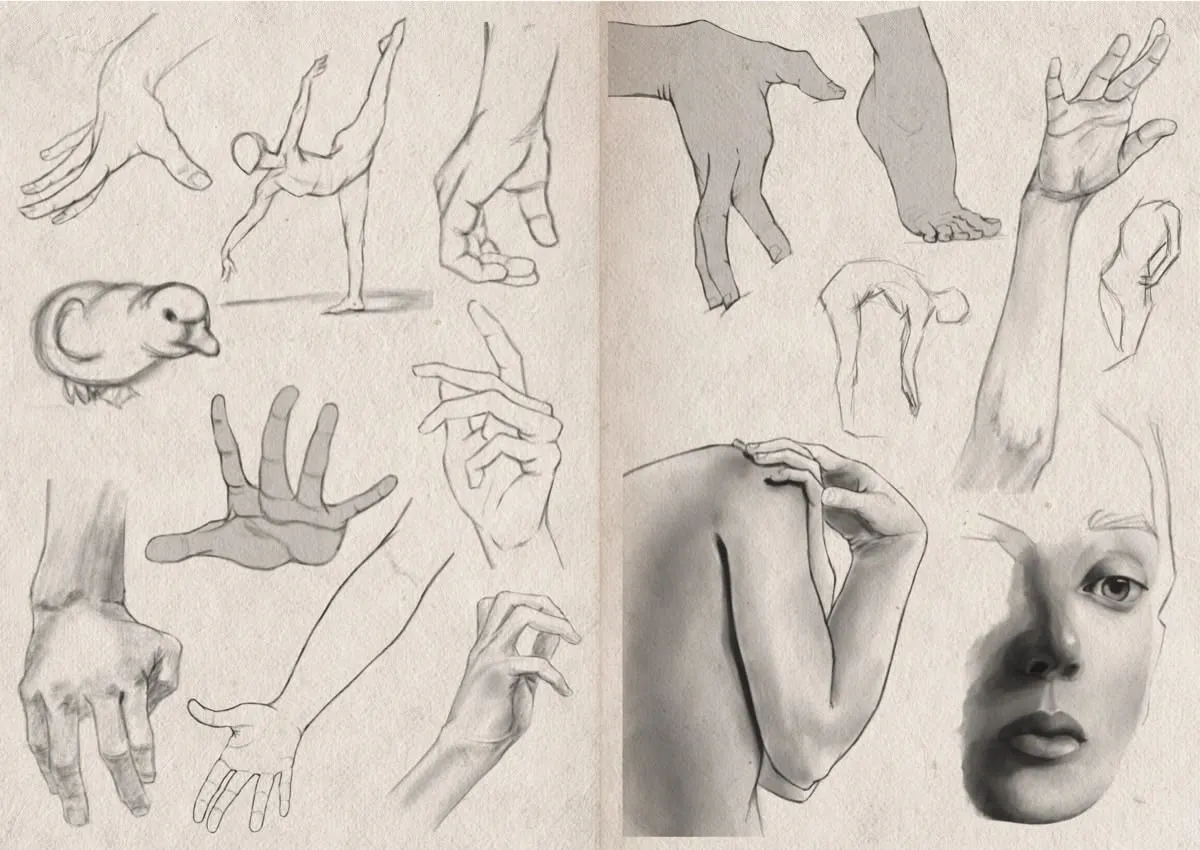 Sketchbook 25-29