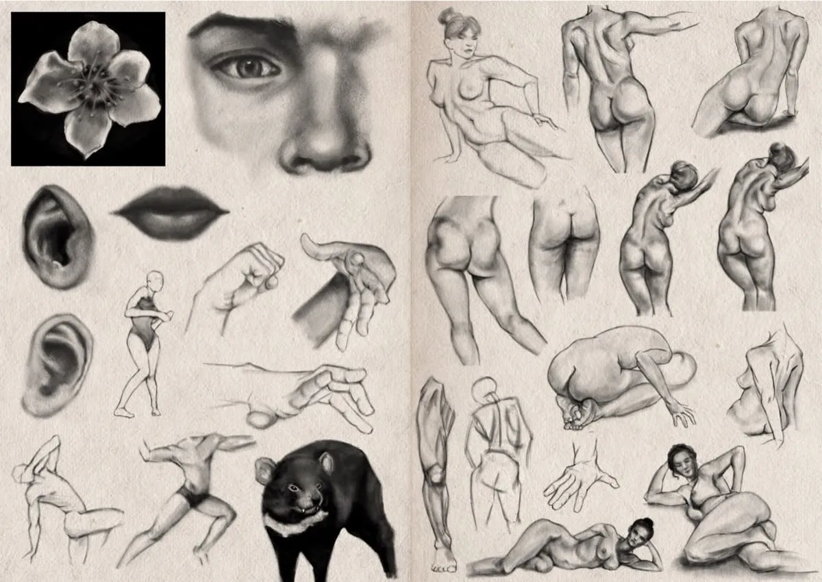 Two-page sketchbook spread showing a collection of digital graphite studies. On the left, there is a detailed flower, a close-up of a face focusing on an eye, nose, and lips, two separate ears, and two lips. There are also sketches of hands in different poses, and a few simple human figures in action poses. To the right, there are numerous studies of the human form, almost all of nude females, showing different poses, backs, and body segments. The poses include standing, sitting, stretching, and reclining positions, with careful attention to anatomy and musculature. One sketch features a woman lying on her side, while another depicts a person crouching low. Near the centre-bottom is a drawing of a Tasmanian devil.