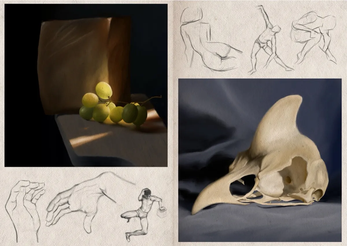 Two-page sketchbook spread filled both realistic and sketch-style drawings, including a digital still life painting of a bunch of green grapes, quick gesture sketches of human figures in dynamic poses, two hand sketches, and a detailed colour study of a crested bird's skull against a draped backdrop.
