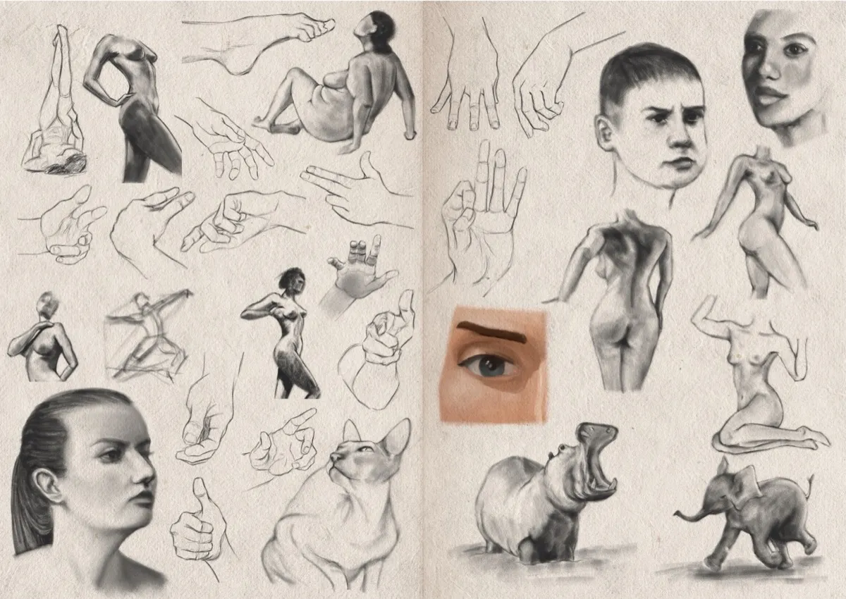 Two-page sketchbook spread filled with digital graphite and charcoal studies of human anatomy, hands, and animals. There are also a few portraits, a single digital colour study of a human eye, and some sketches of a cat, a yawning hippopotamus, and a young elephant.