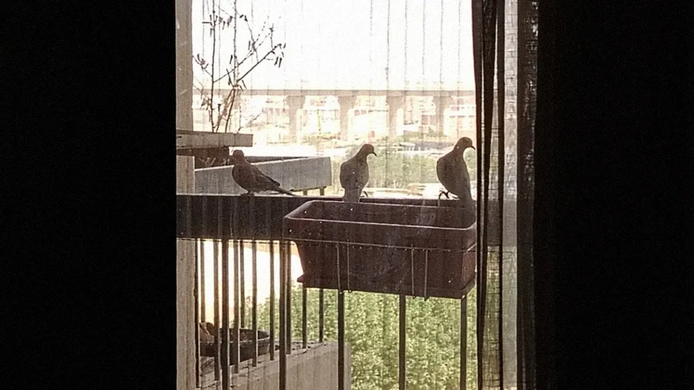 This-is-a-happy-moment