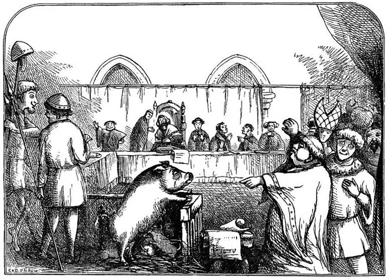 animal on trial