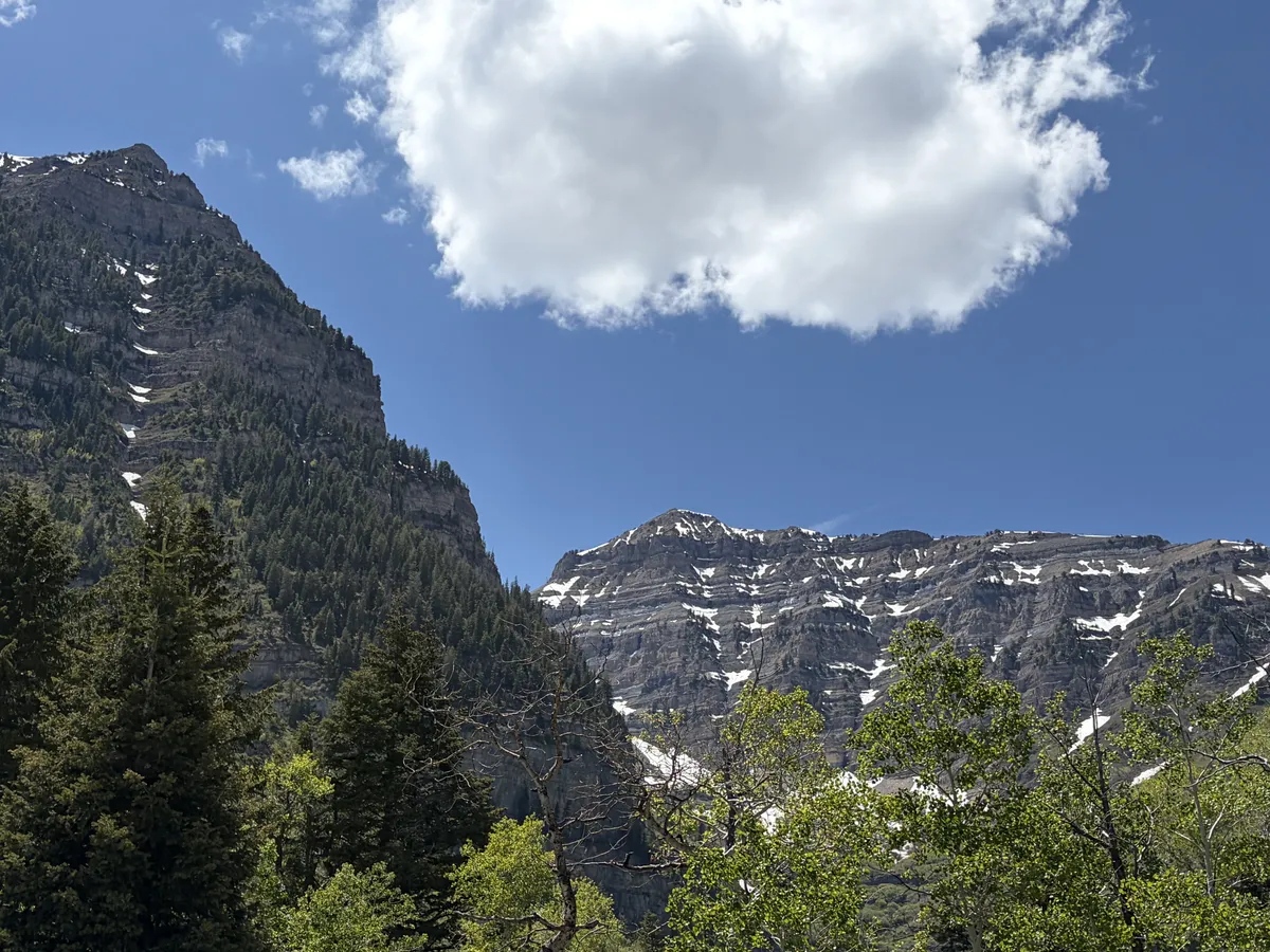 view-of-mountains
