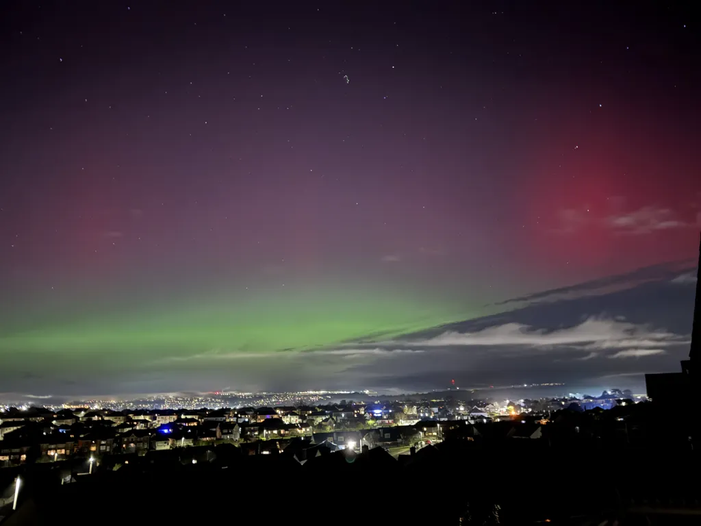 The Northern Lights from my garden