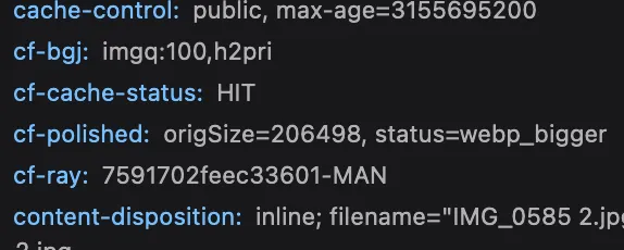 Image network headers showing a cloudflare CDN cache hit