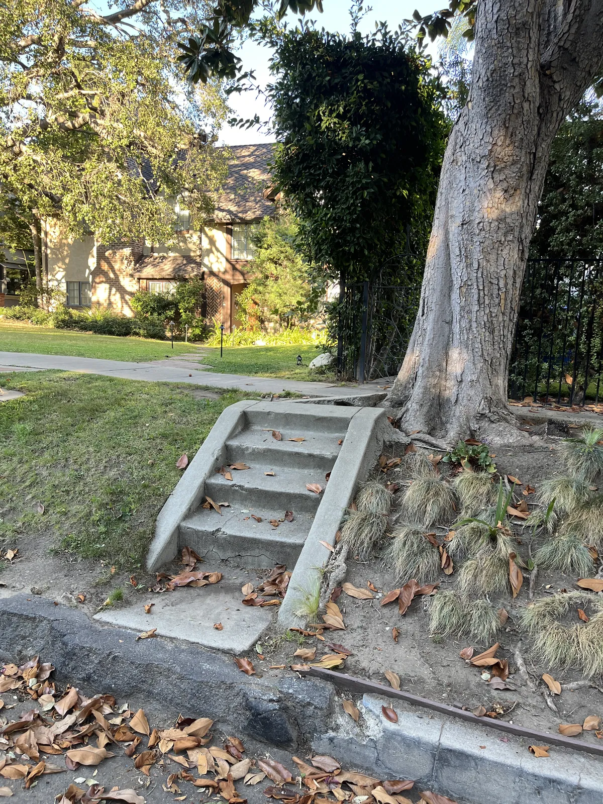 Stairing Contest 3