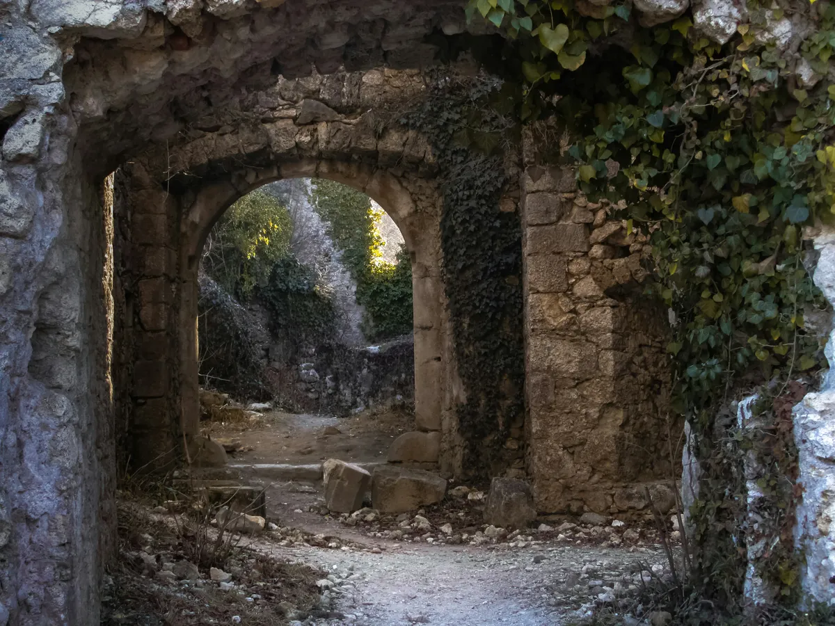 image of a stone ruin, looking through two vine-draped doorways to a vine-draped wall