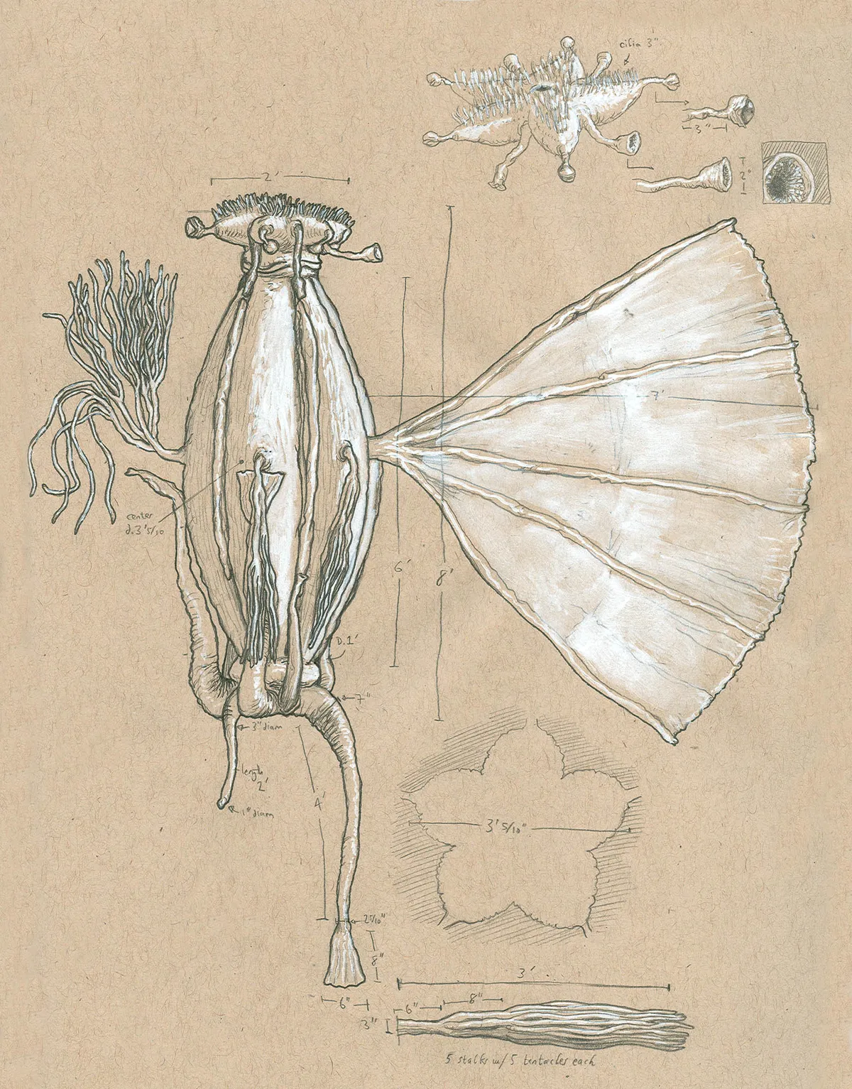 flic_dot_kr_slash_p_slash_74Nmvr