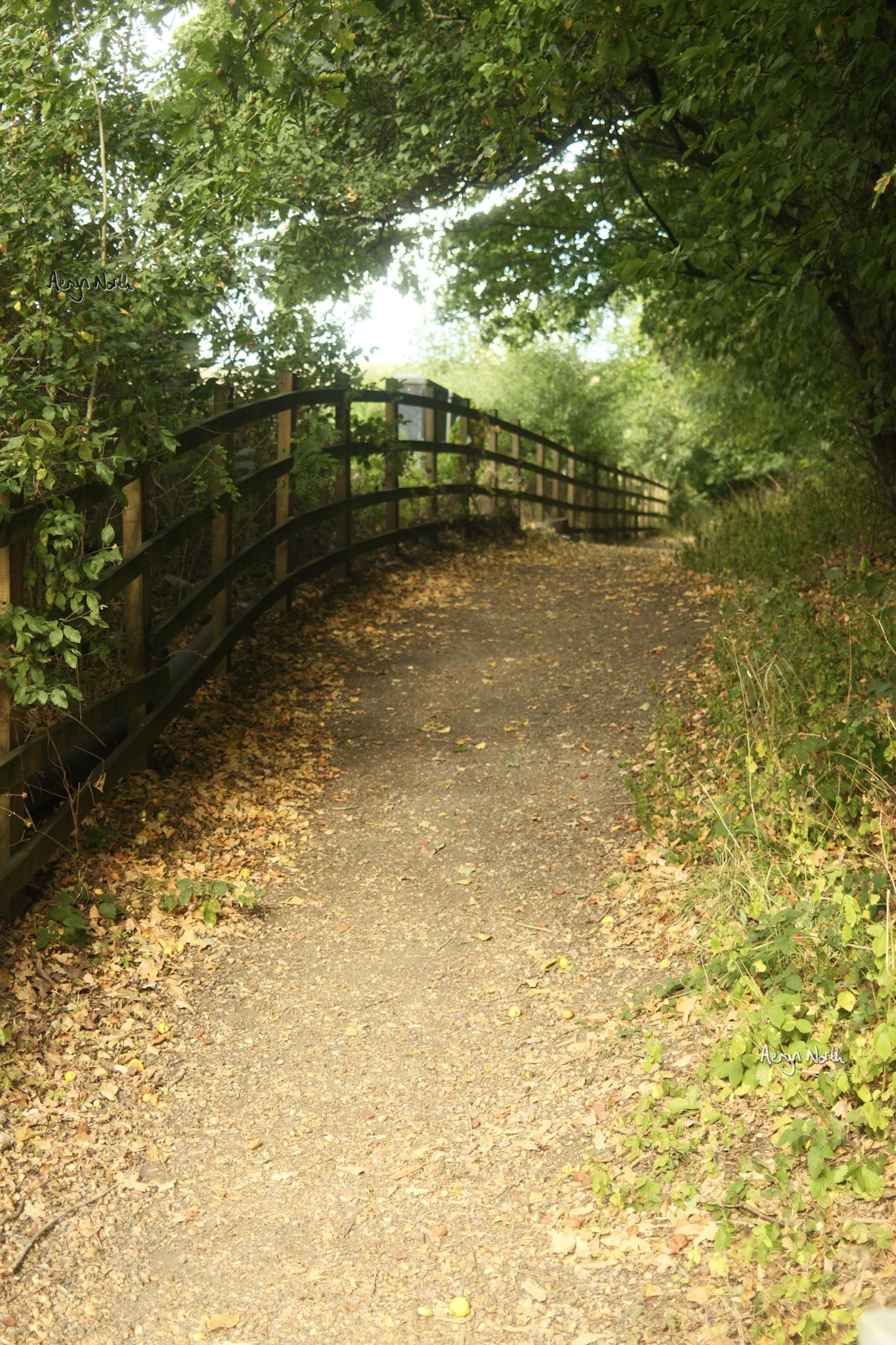 A straight path rises into the frame. To the left, a wooden fence, and foliage surrounds on both sides