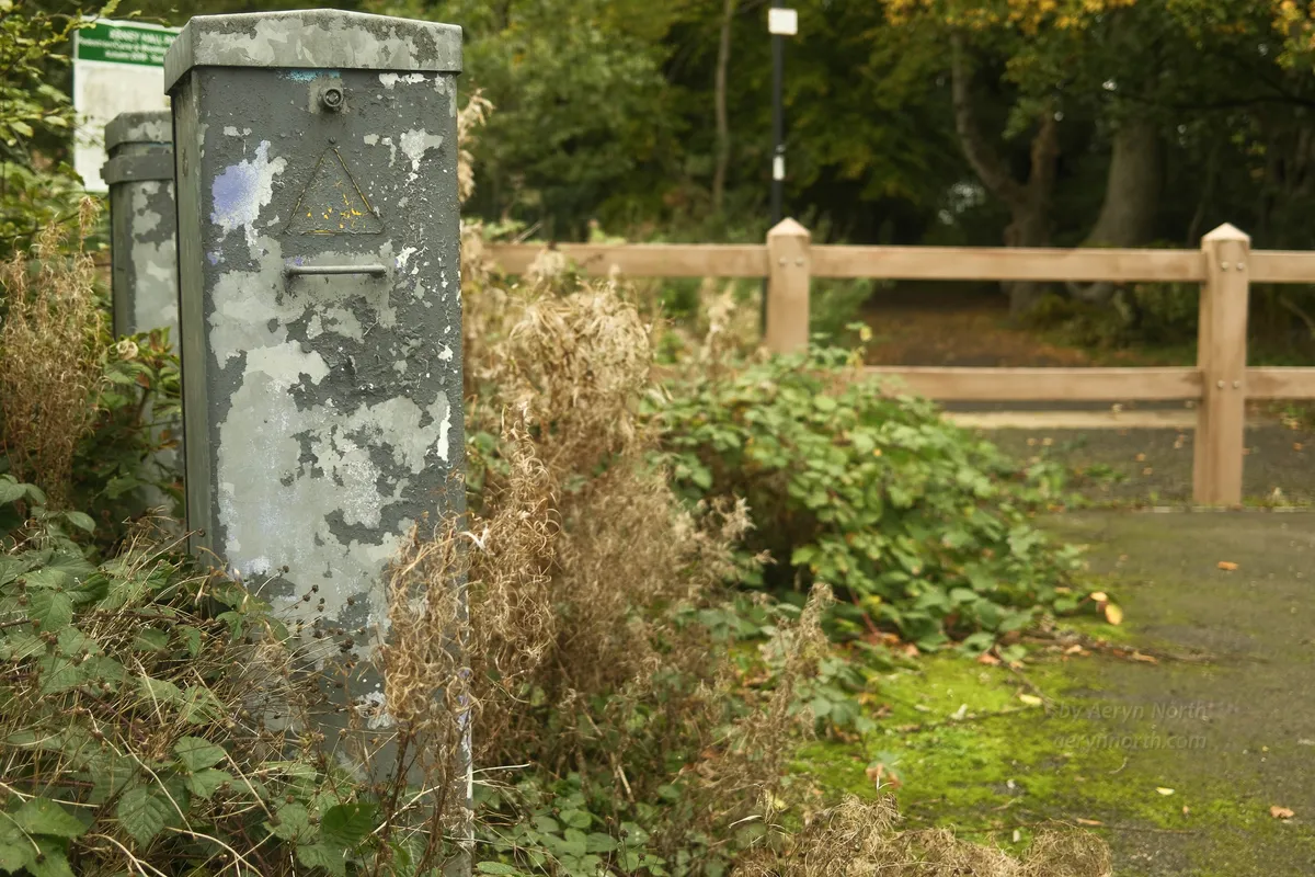 Metal utility units sit amongst undergrowth. A fence, a path and trees in the background.