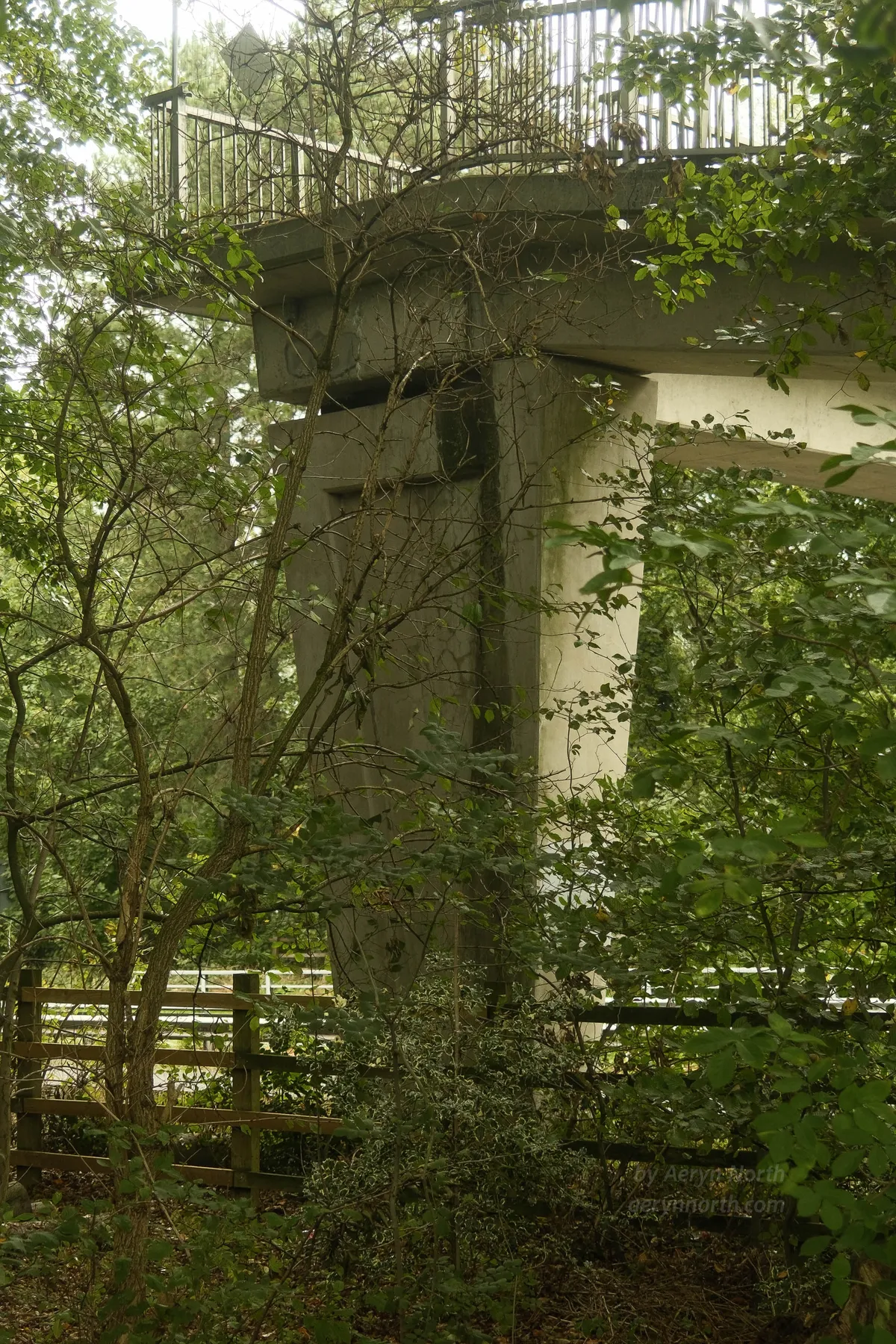 A concrete footbridge with foliage in the foreground.