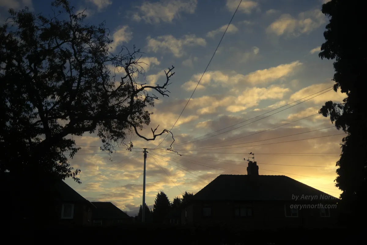 A cloudy sky lit from behind by the sunrise glows yellow to the right, fading to softer tones on the left. In the foreground, tress and houses are silhouetted against the sky. There is a telephone pole with wires radiating outwards.