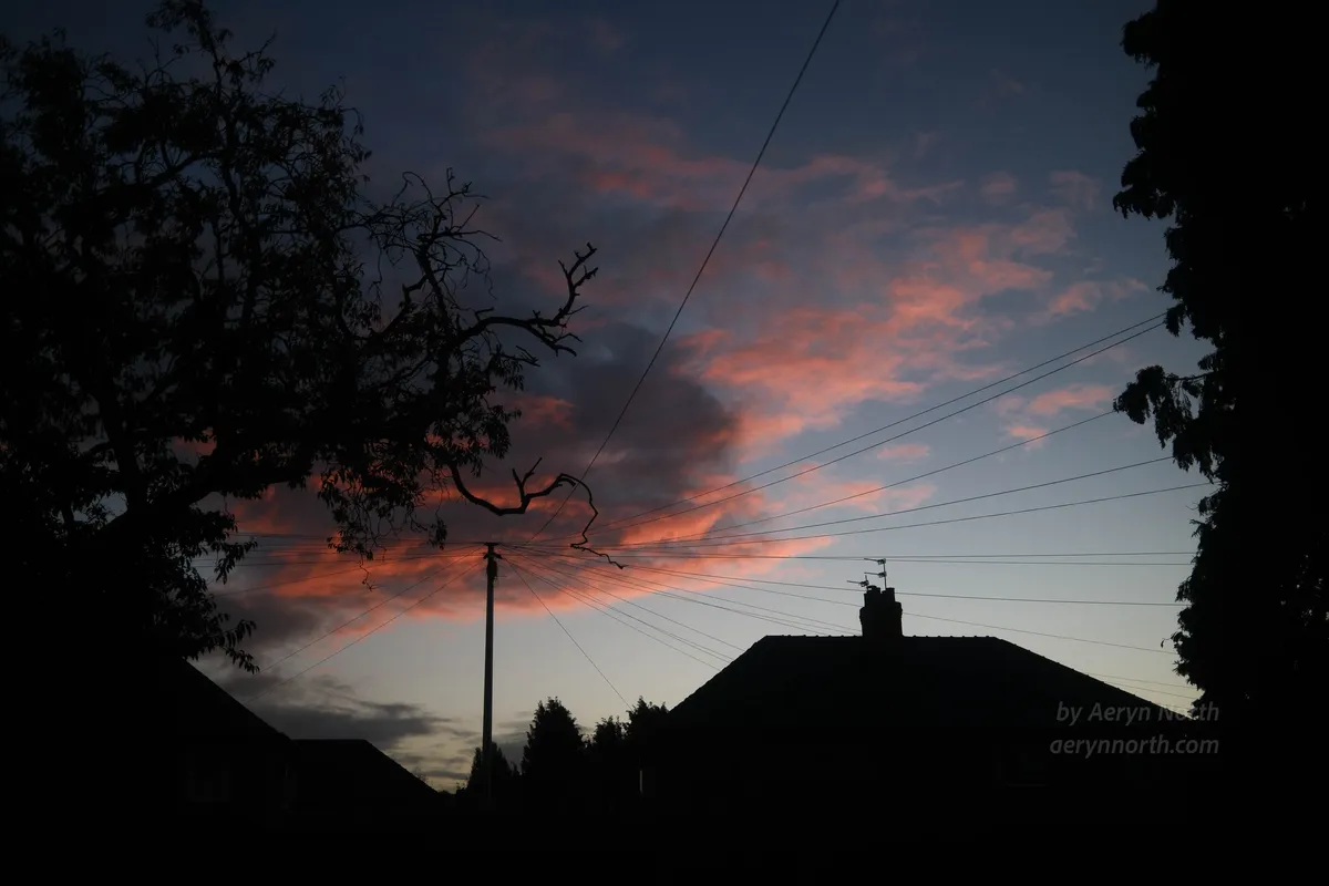 Clouds lit up salmon pink underneath from the sunrise sit against a blue sky. In the foreground, tress and houses are silhouetted against the sky. There is a telephone pole with wires radiating outwards.