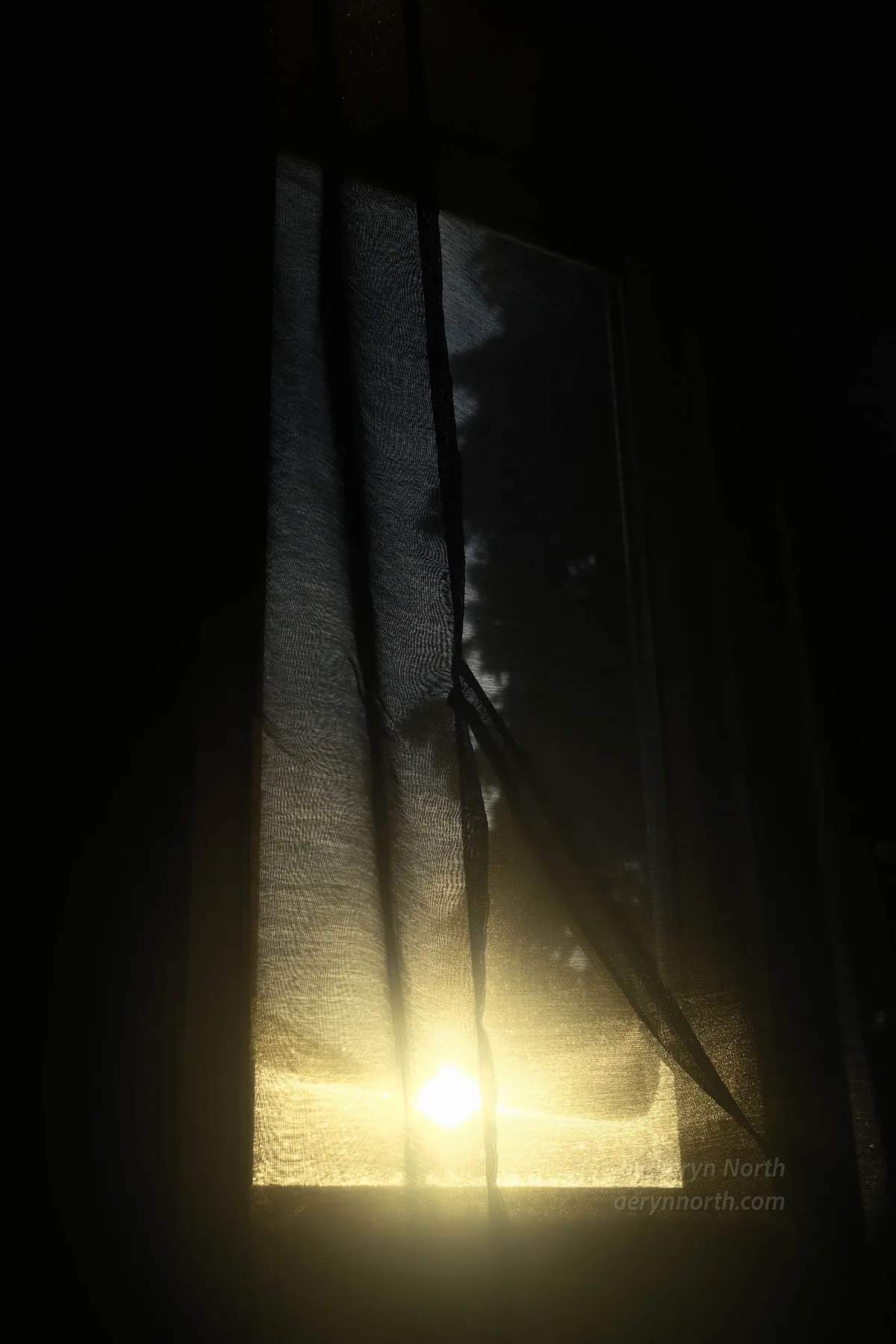 A view through a window to the direct sun with a tree silhouetted to the right. The light is a harsh, bright yellow. The view is seen through a light curtain.