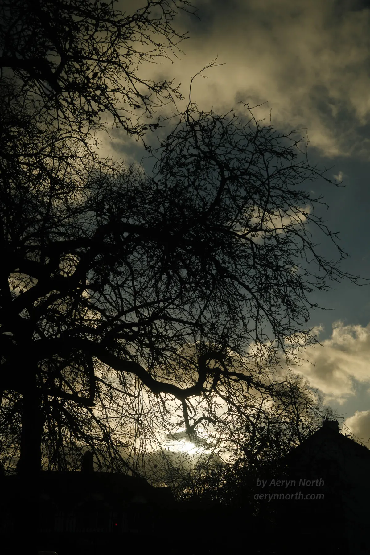 A bare-branched tree is silhouetted against an underexposed blue sky with white fluffy clouds. The sun is obscured by the clouds and there are silhouetted buildings below.
