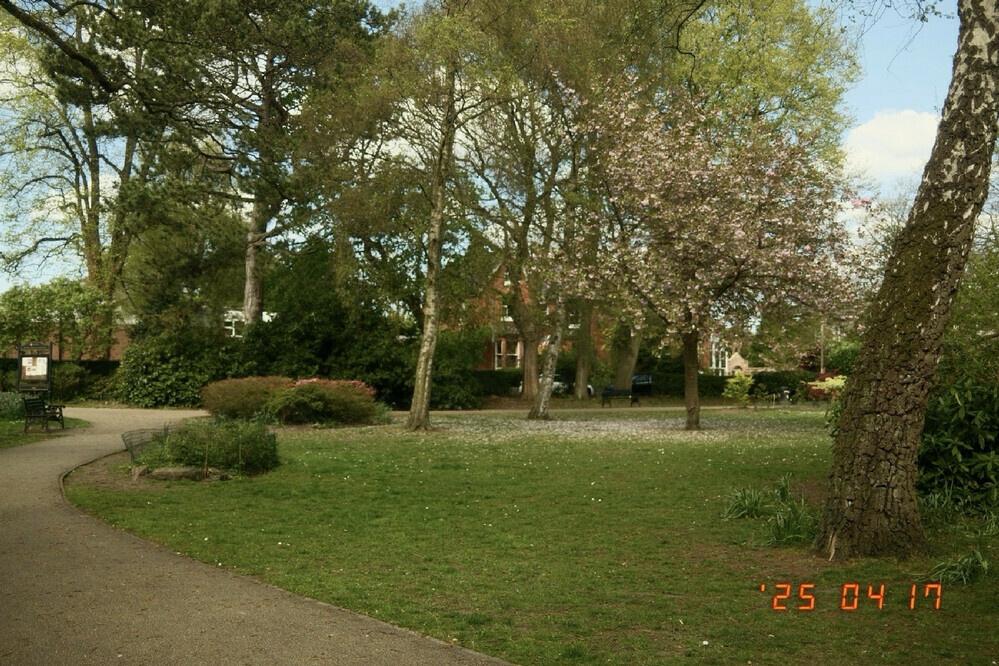 a peaceful park on a sunny day, with green trees, pink blossoms, and a mix of grass and white flowers. There is a bench and a pathway, and a building with windows in the background. The date "25 04 17" is at the bottom. — 🤖