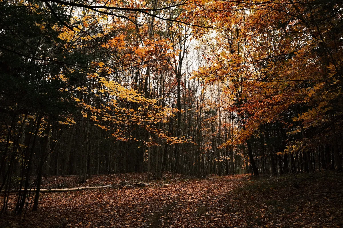 acorrado-DSCF5125_392ded4ecfd1abd365cd8b0b6f09af541f7fa2cf7c4b1dc51a749ab095bab4db_1af1db05ce6ef20749dc9923c0d6c047007044ede77c3e9aa909599e770ee0c6