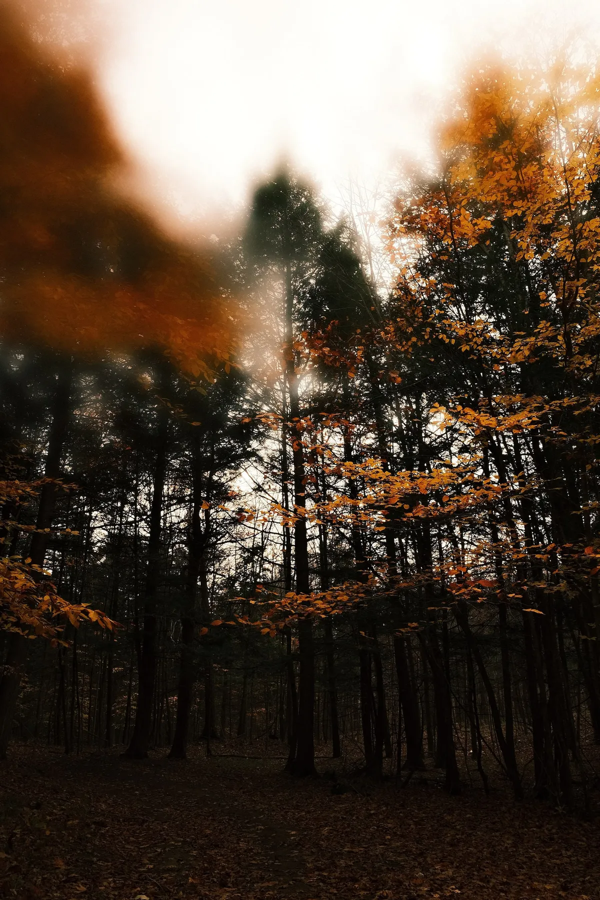 acorrado-DSCF5137_8633974ef2f9c0de0961bcd2a910557623a89b0d38e3b2d3e00cddee02ccd80d_405b2955c4908c48b8e0df4da08a462167ebea22d7b76e396eecfeb64c603a52