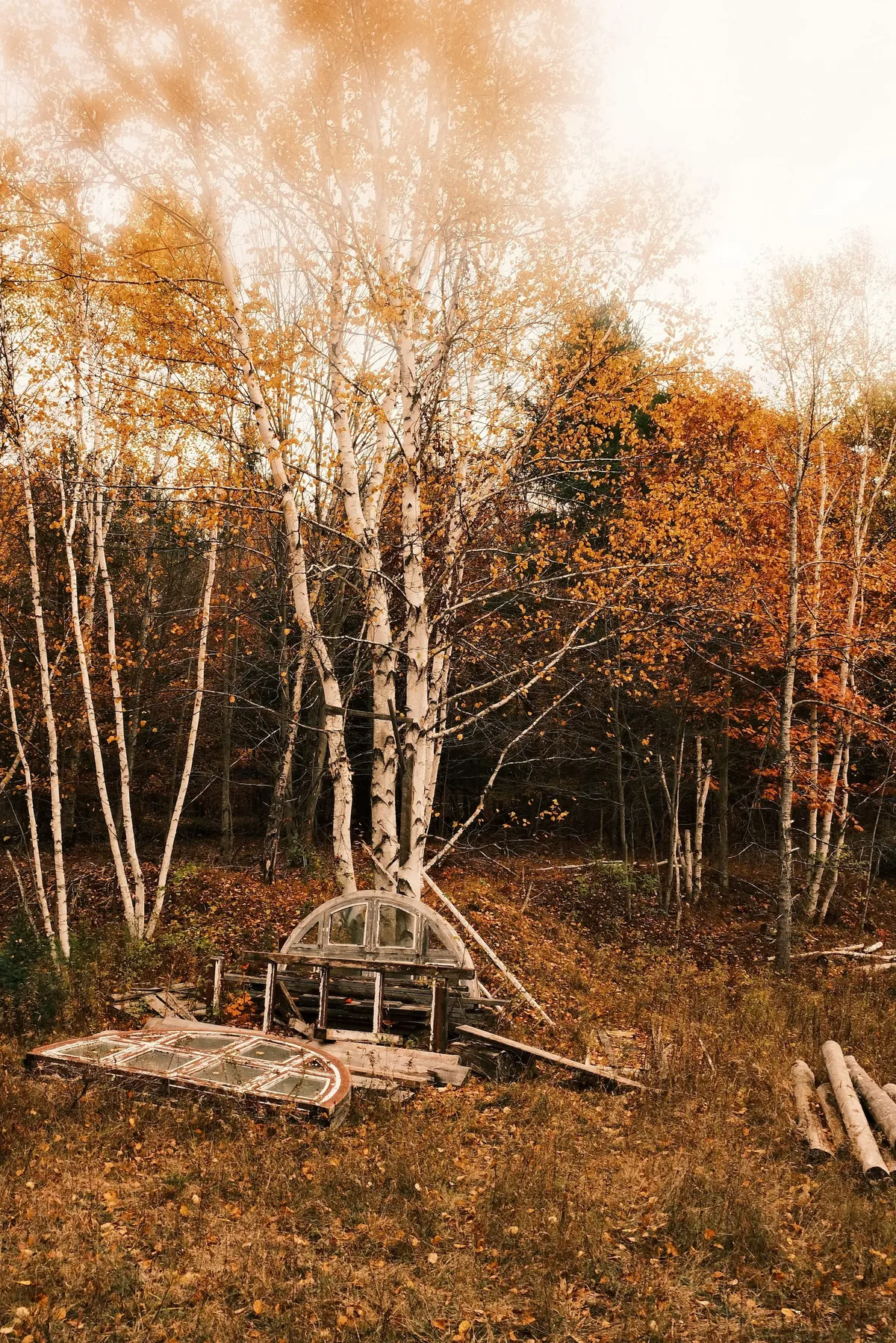 acorrado-DSCF5152_09adc249522263206e6dd1c367d01d81de923b8b6ceba3586a11b3795a3a1297_2f91c9f3a5bc529a8e62964488b4a94ed3b62f2a9f9435214cdc1a37d86b1dab