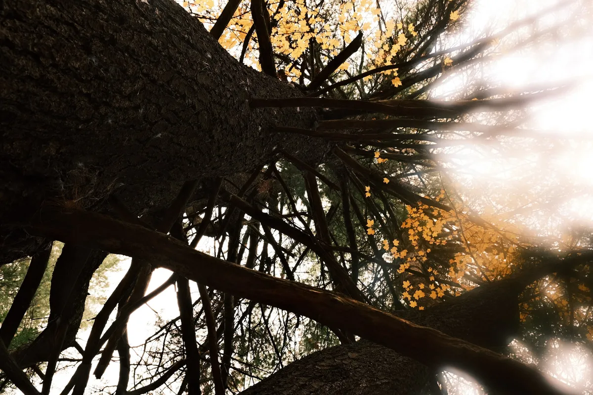 acorrado-DSCF5185_fd8185b14e224ae1b9a17c78867316a27372d9503ea503eb5e2af7391cd2c8ea_7f32611b4c21380b9834717253e6e74323d7c3a9c45aa3a0f927ae09d4781bfd