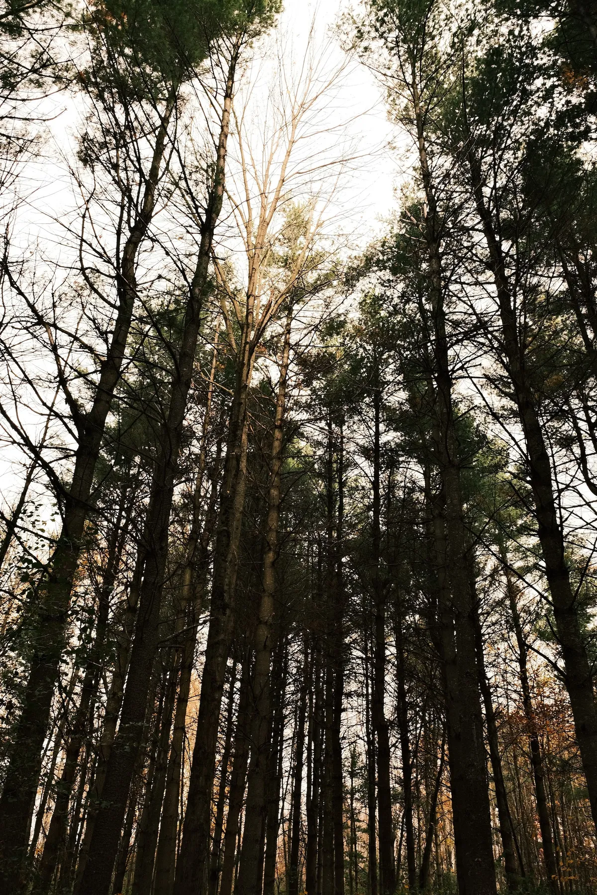 acorrado-DSCF5187_cab67546f5ab6c31d07cda2d72f00e2c8c3c6e793d4f0ea7cb4afe44b05fb303_04d3a88a5db2f207457911a8cbae98cffa751afcb8a78b610e326fbd737e2db4