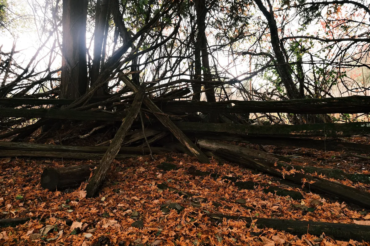 acorrado-DSCF5198_77dddc8b5c6c868d604824a2457f15893e7f1ad90565ea174f23a937a489d645_9f8d8e092a5c78718a2fa0811c4b845a92eb9f1e6d97a3ce499d0c85de46b9d6