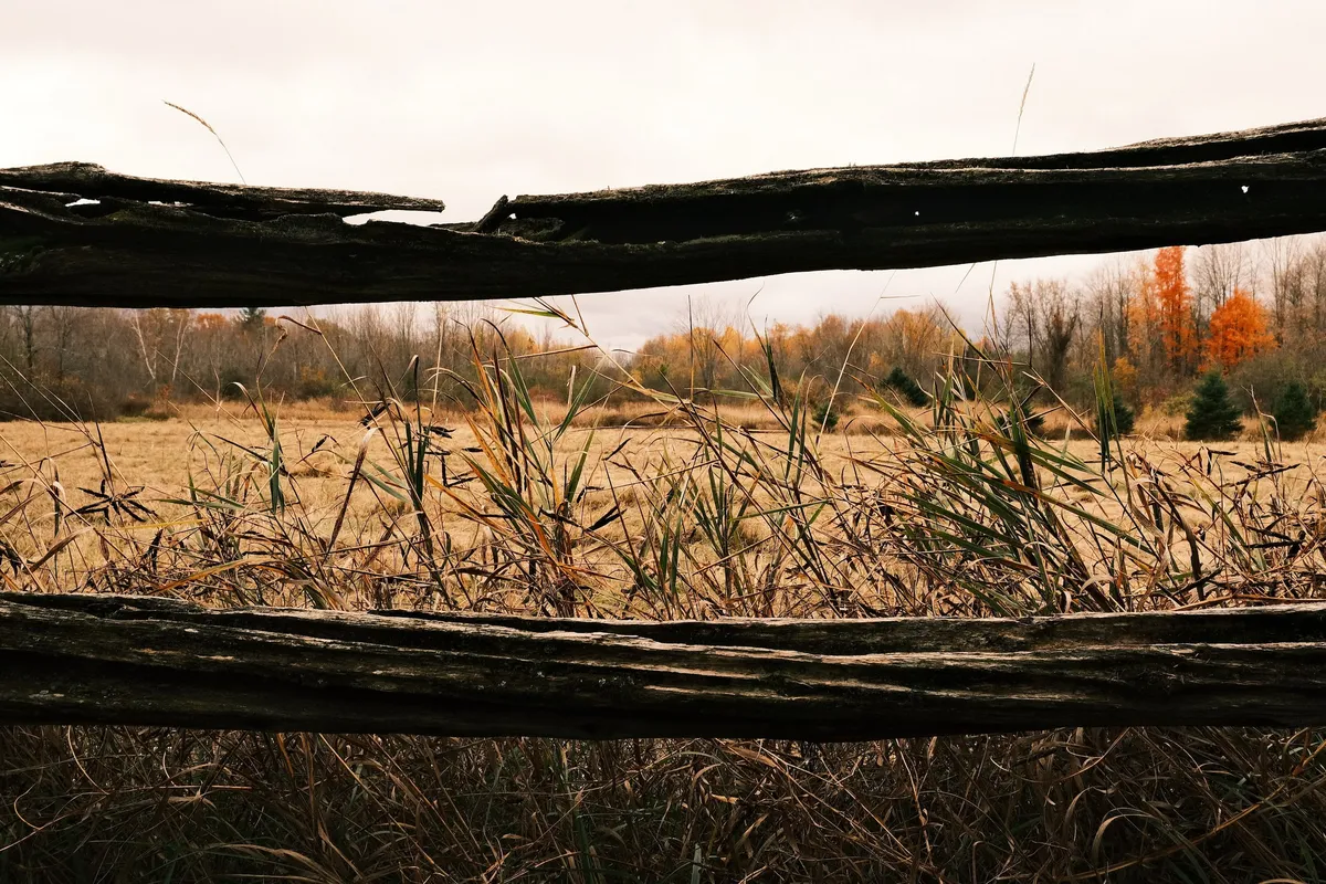 acorrado-DSCF5228_4aacd94075607c218f9ad57b52e7dd97a401c28a4955e52129731e22d2b53923_479a044f45674e9beda6bbfd247fc9b250d5df5408ec612cabcd60894da78221