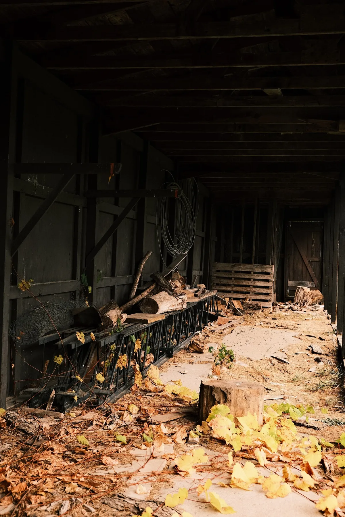 acorrado-DSCF5244_2963547a5ef7acc804cc41af33f29871c0c0eab49ed17494775f46136b5139a7_31fcf9bb2be0bd298b924428931e6cd35e84db04b4f094ca59e0fde266fc5856