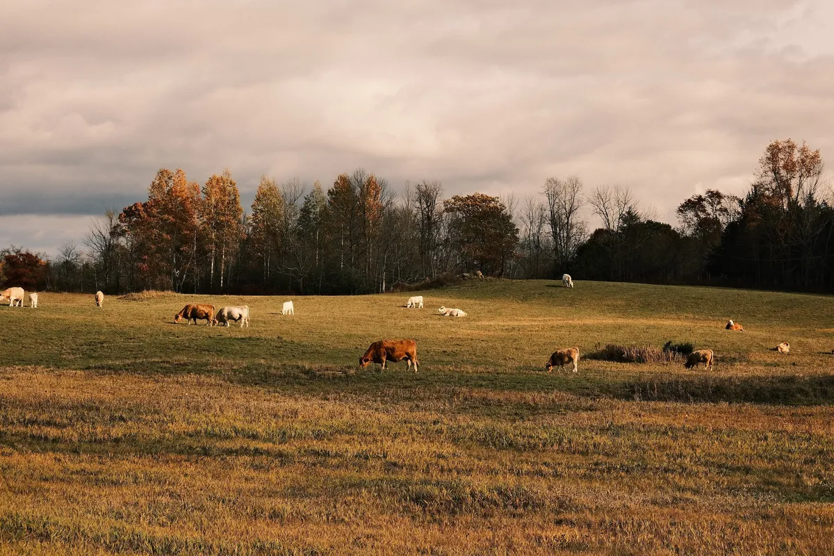 acorrado-DSCF5253_33a6e474a94fd2adbd3b3f826b10eb9e3dd6f621d0d559e7eaa098644de881eb_c91f773cad7e323aa284b9e3596aa1be2bebcc2e3123e300b982b7366e4bc7dc