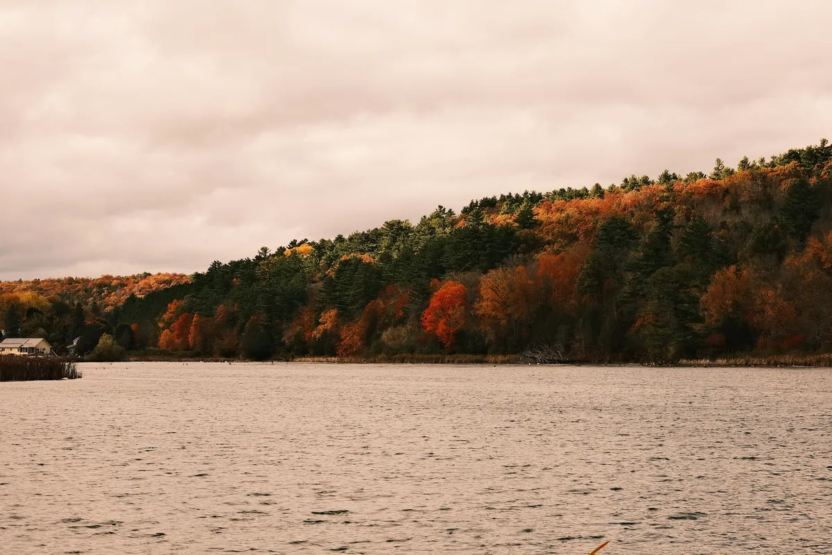 acorrado-DSCF5259_28f6f8103fd80e7206f62db4edbe515492c935b0c2c969d009b1064fc1cfa770_9f9c21bd0be8085eef91e6af4c5bdab7f06a620af8d76cae9e5138d05046d6dc