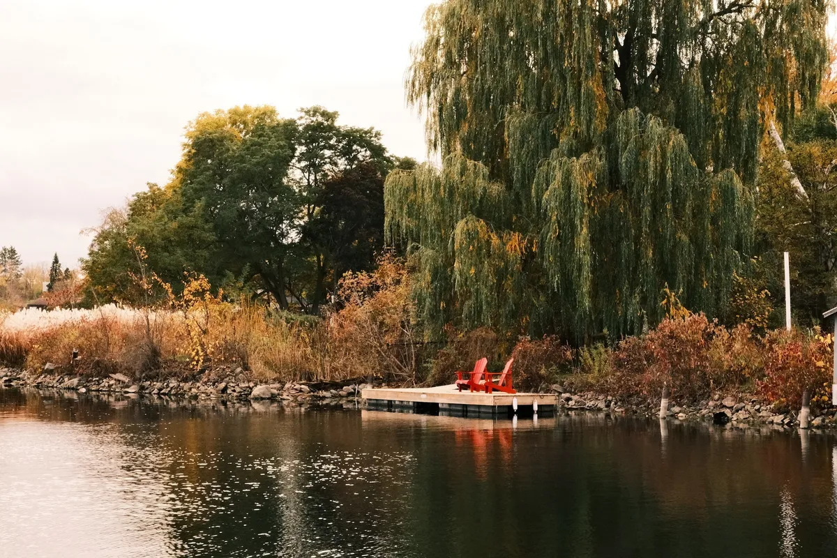 acorrado-DSCF5269_cb0246c67cd90d22572a2f1386ff2fbf095d3c9b592750cf482ca5789e0b2c2f_57cad4d1eff7798ffec226570f57e9cd3356357fa0832ff6d89d27618f2c12ca