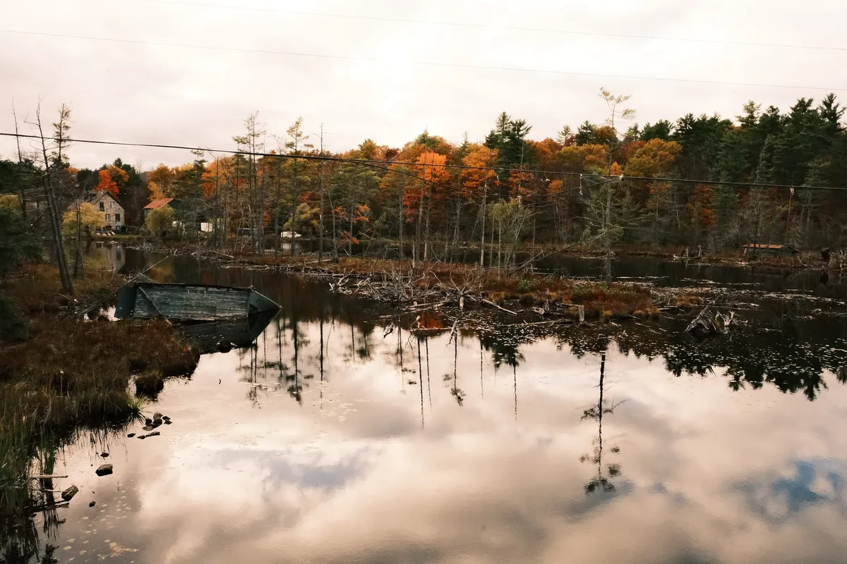 acorrado-DSCF5283_0d4a932786561897e1361a6320ba4620fd6338848e101663bbac23839ca9352c_3c39cb3dda5f709f49e77a55372056040605f9bb775e584238b2cc51fcb4a61e