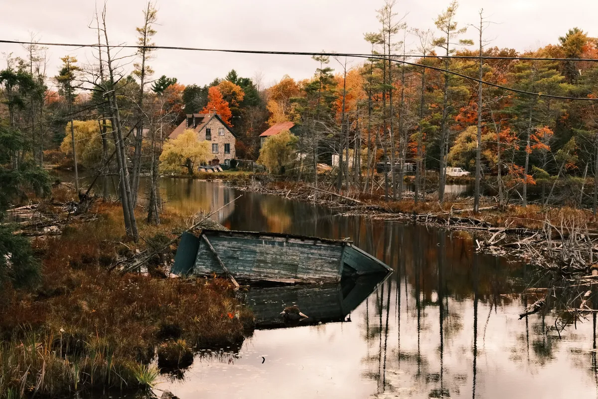 acorrado-DSCF5287_46f1b4f8adf2a99a5de20588690653aa39dc1e173449747bdba6afcc8ffa9895_04531a40796ca7dc61b43e01f67991560bacfa017e47c93adf487988cdc8c7e3