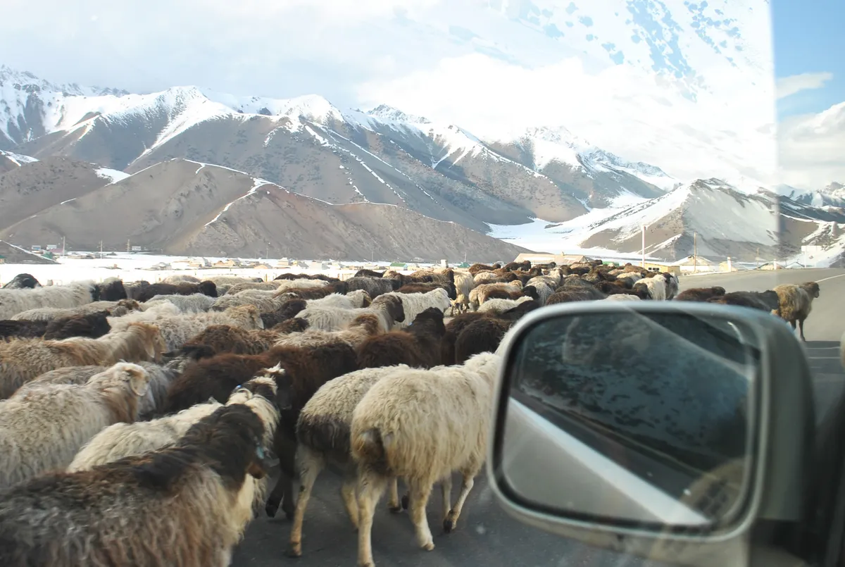 BW-Kyrgyzstan-2015-16