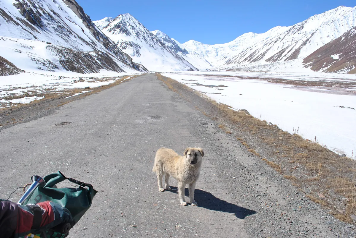 BW-Kyrgyzstan-2015-199