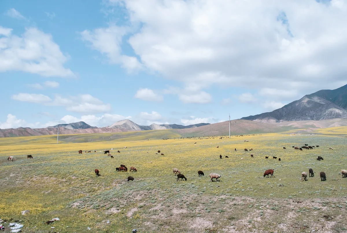 BW-Kyrgyzstan-2015-59