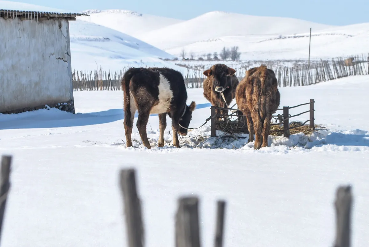 BW-Kyrgyzstan-2016-34